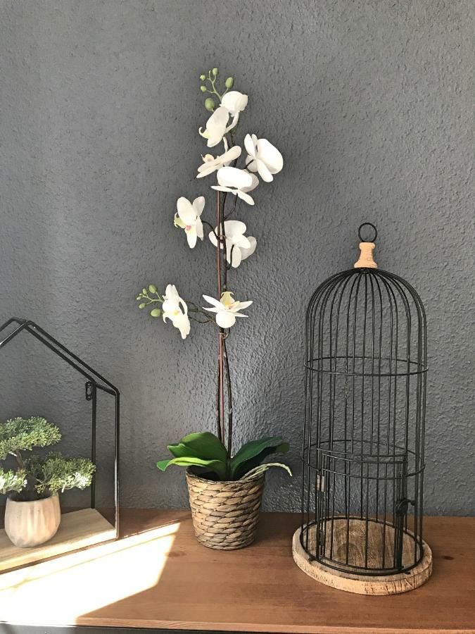 Bruno'S Home Málaga Extérieur photo